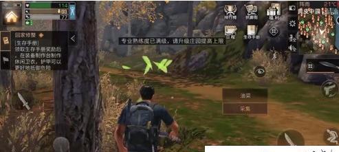 如何高效完成明日之后秋日副本采集（掌握技巧）