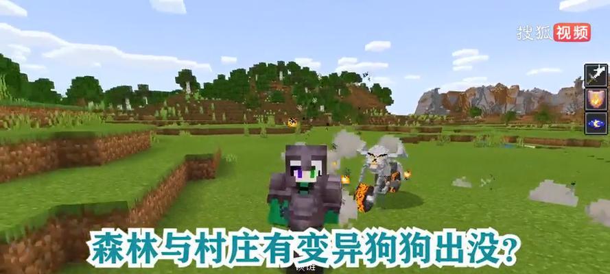 我的世界狗狗如何变得更强大？有哪些训练方法？