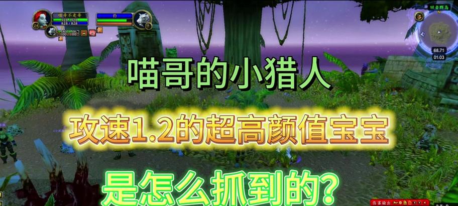 魔兽世界中如何提升宝宝训练等级？
